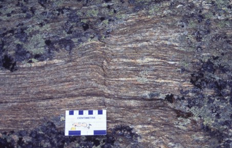 Field shot of a cordierite gneiss