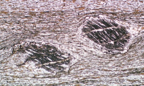 Garnets Kluane metamorphic assemblage