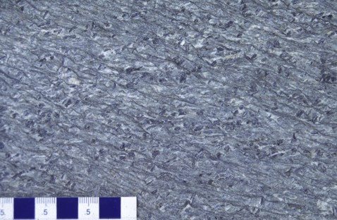 Field appearance of greenschist facies muscovite-chlorite schist