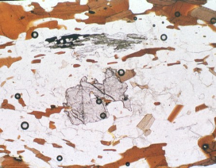 Cordierite with inclusions of sillimanite, hercynite (dark green) and garnet (center)
