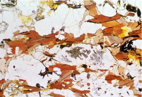 Cordierite porphyrpblasts with inclusions of green spinel (hercynite) and fibrolite (sillimanite)