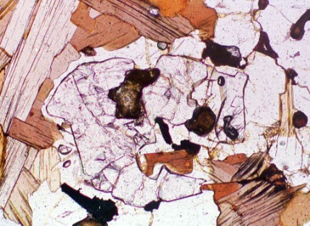 Cordierte-Biotite-Schist