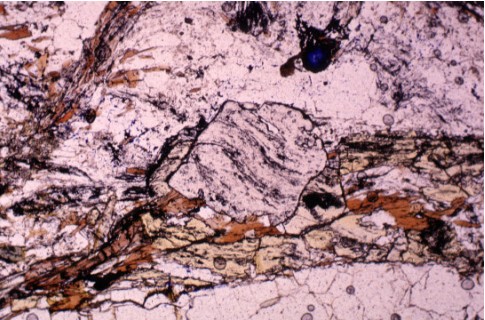 Garnet with spiral-shaped inclusion trails